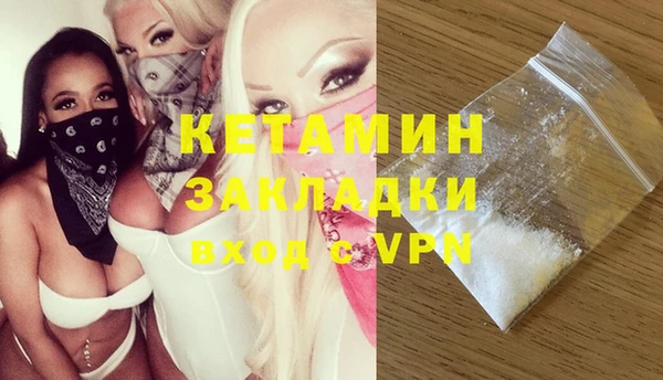 шишки Заполярный
