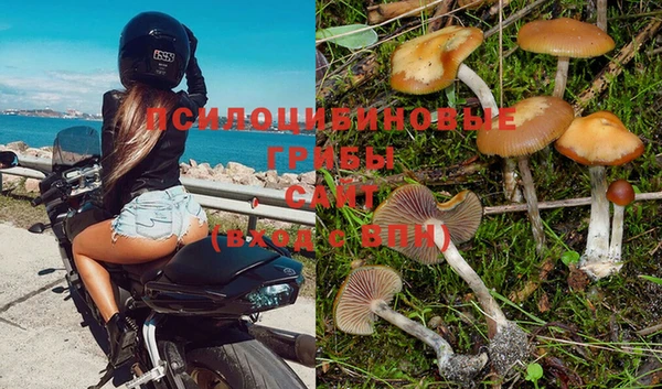 прущий лед Алексеевка