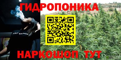 молекула духа Дубна