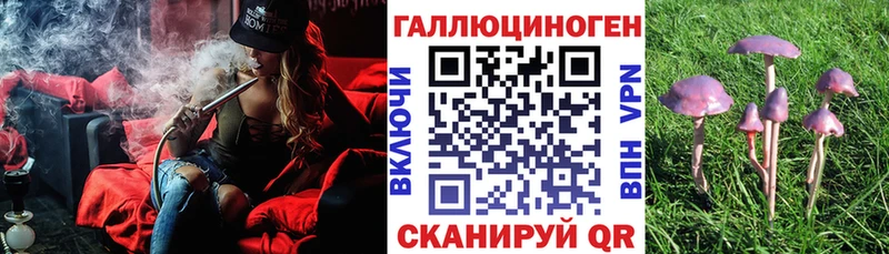 Псилоцибиновые грибы Cubensis  купить   Лесной 