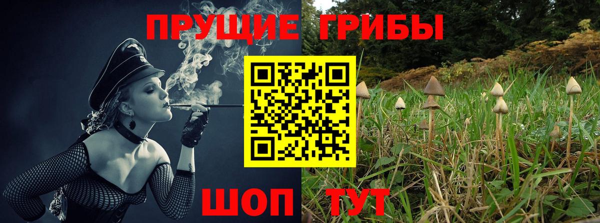 Галлюциногенные грибы GOLDEN TEACHER  Псилоцибиновые грибы прущие грибы  Лесной  Вход с VPN 