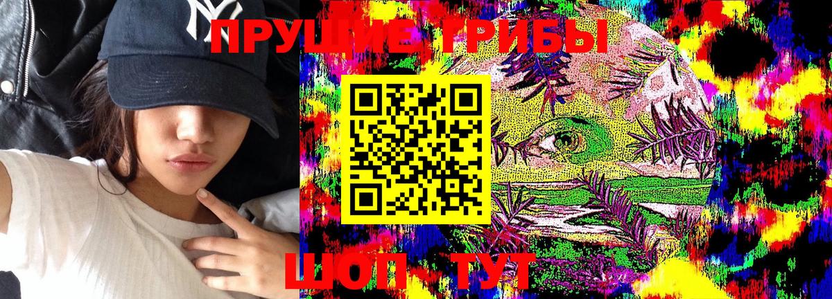 Псилоцибиновые грибы Psilocybine cubensis  Лесной  Псилоцибиновые грибы MAGIC MUSHROOMS 