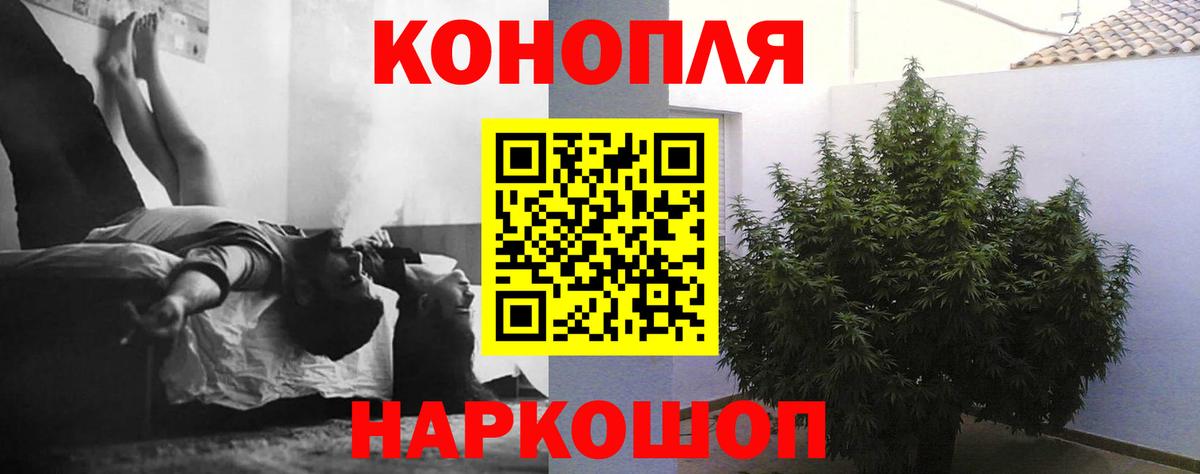 Конопля Ganja  Конопля Ganja  Каннабис MAZAR  Лесной  Шишки марихуана гибрид 